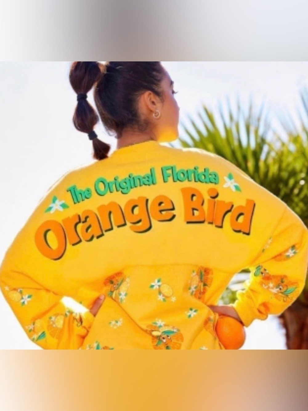 Disney parks spirit Jersey Florida